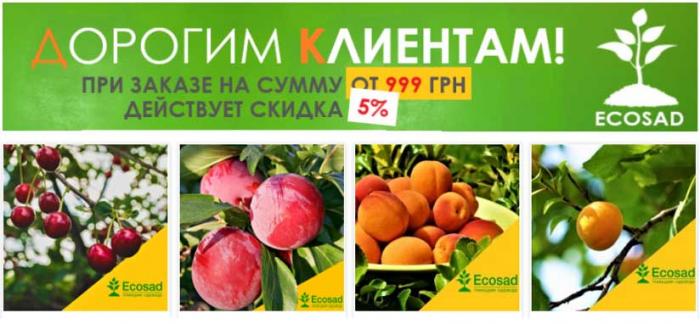 Продажа саженцев по всей Украине с доставкой от Экосад