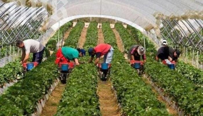 Віза та робота в Англії.