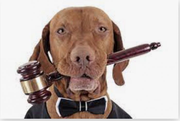 Юридические споры с Ветеринарными клиниками в С-Петербурге и Ленинградской обл