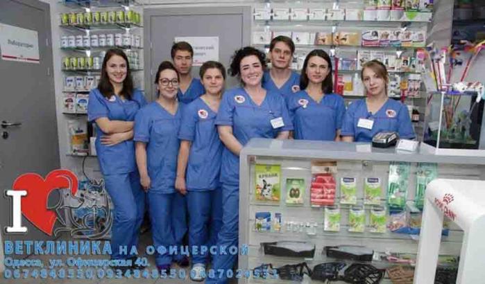 Вызов ветеринара на дом круглосуточно в Одессе.