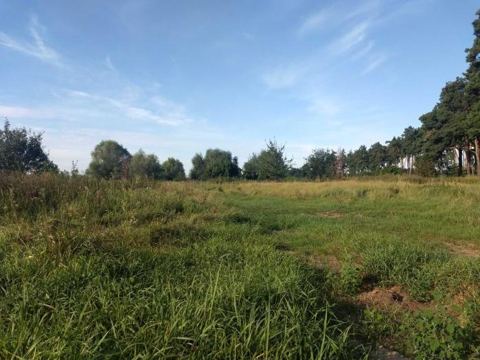 Земельна ділянка під будівництво 25 сот в с. Дернівка, Київської області