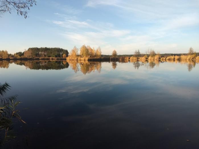 Земельный участок под садоводчество и постройку дома в с., Дружня