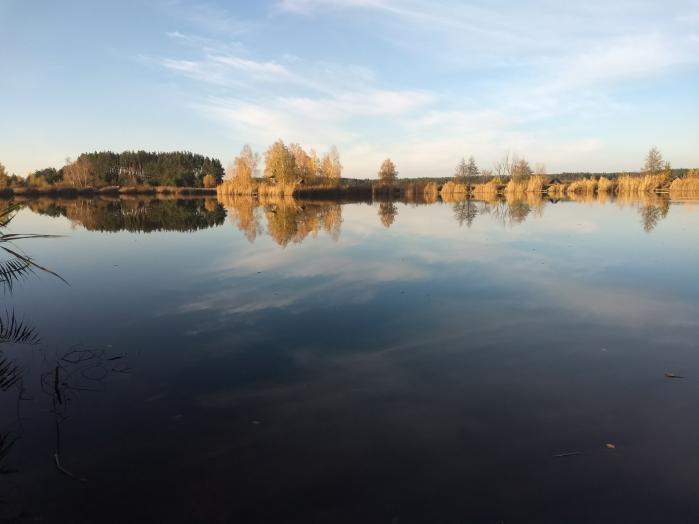 Земельный участок под садоводчество и постройку дома в с., Дружня