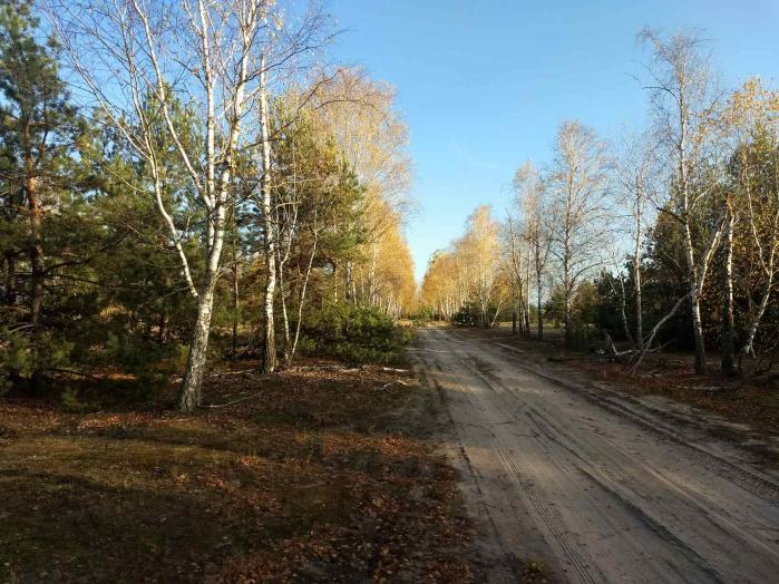 Земельный участок под садоводчество и постройку дома в с., Дружня