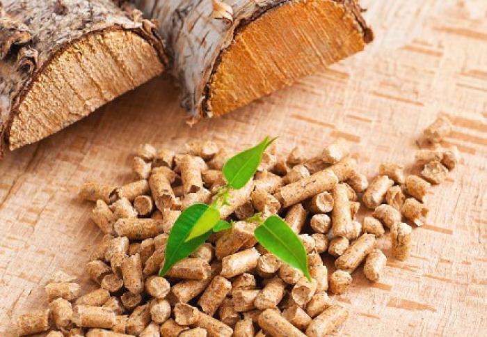 Пелети/брикети для підприємств України