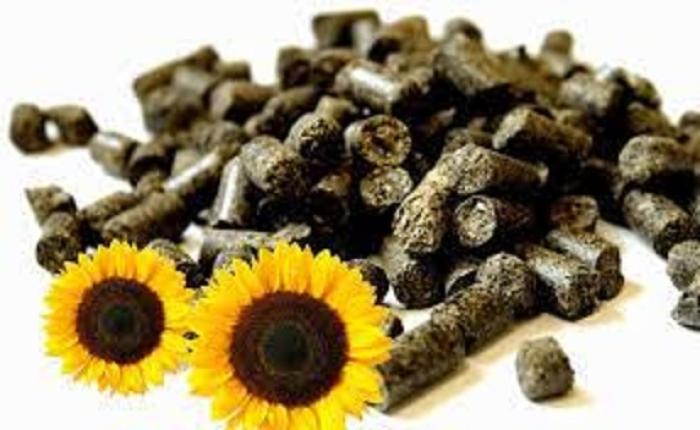 Пеллети з лушпиння соняшника, брикети з лушпиння