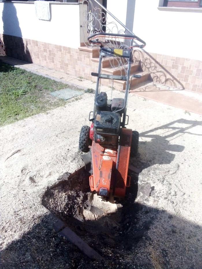 Спилим обрежем деревья, удалим поросли