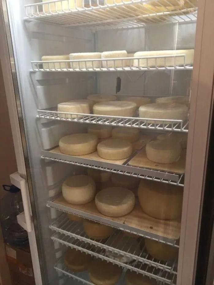 Шоковая заморозка камери для переробки сиру