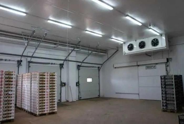 Холодильна камера Тривалого зберігання яєць встановлення під ключ