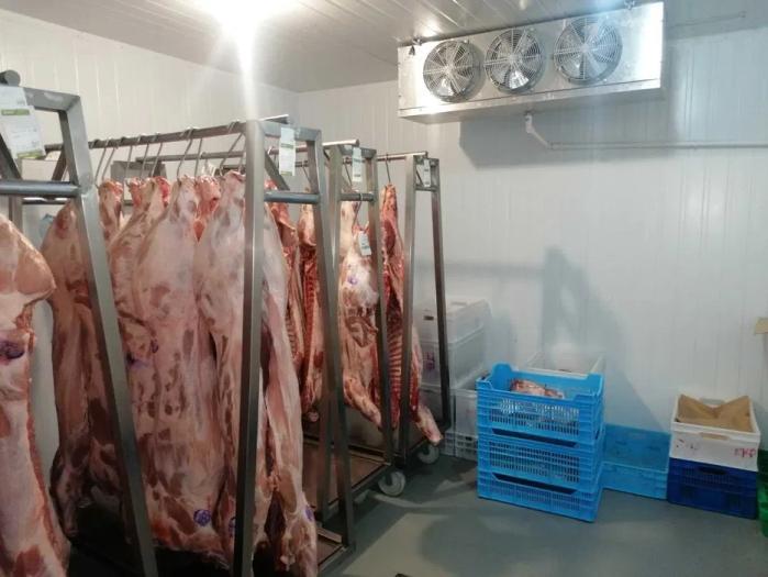 Морозильна камера - Шокова заморозка ковбас, м'яса, сирів ( Під ключ)