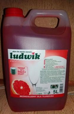 Средство для мытья посуды "Людвиг" 5л (Польша)