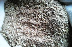 Зерна пшеничные с мучкой в Харькове. Корм с/х птицам и животным