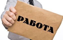 Помощники на выборы.