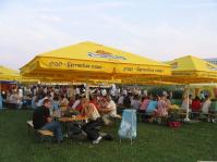 Большие зонты 3х3 м., 4х4 м. 5х5 м. для кафе, ресторанов