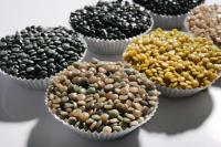 Вторичная гранула Полистирол УПМ, ПНД (273,276,277,266) ППР А4