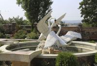 Дизайн приусадебного участка от дизайн студии Романа Москаленко