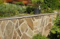 Кварцит златолит кора дерева старая англия плитняк