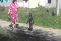 грязь куяльницкого лимана