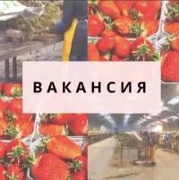 Всех желающих приглашаем на работу в Польше