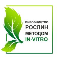 Реализуем здоровые саженцы павловнии