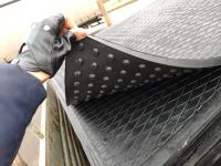 Мат животноводческий шипованный