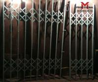 Двери Боствиг Prof (решетки для лифтов)