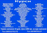 Навчання на курсах Диплом