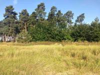 Земельна ділянка під будівництво 25 сот в с. Дернівка, Київської області