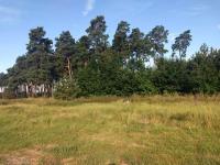 Земельна ділянка під будівництво 25 сот в с. Дернівка, Київської області