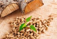 Пелети/брикети для підприємств України