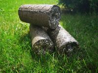 Пелети та брикети з лушпиння