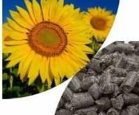 Пеллети, брикети опт від 22 тонн