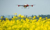 Замовити дрон для обприскування ріпаку