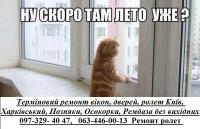 Терміновий ремонт вікон, дверей, ролет Київ, Харківський, Позняки, Осокорки,