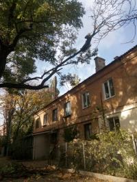 Спилим обрежем деревья, удалим поросли