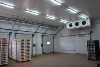 Холодильна камера Тривалого зберігання яєць встановлення під ключ